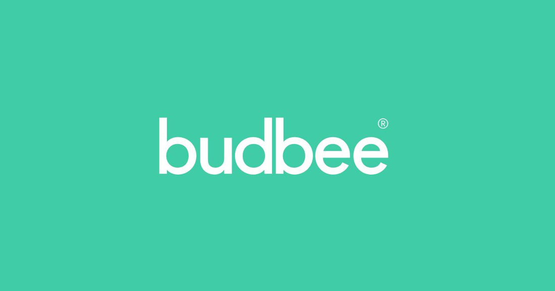 Budbee - Nytt fraktalternativ