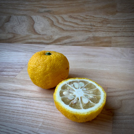 Färsk Yuzu